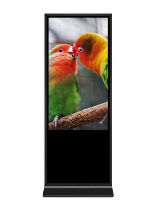 55-Zoll-Infrarot-Touchscreen Große Größe Bodenstand Digital Signage Werbebildschirm